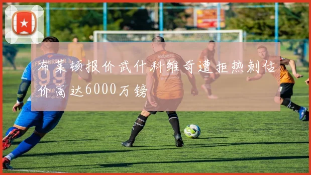布莱顿报价武什科维奇遭拒热刺估价高达6000万镑